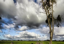 欢迎在宝塔面板安装Z-BlogPHP!